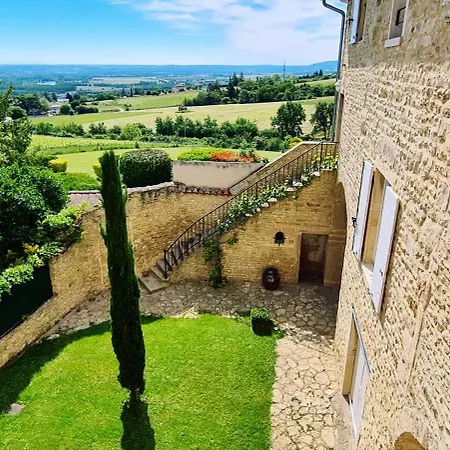 Vigna